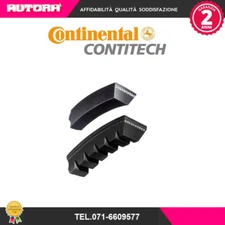 13X710 V-belt (BRAND-CONTITECH).