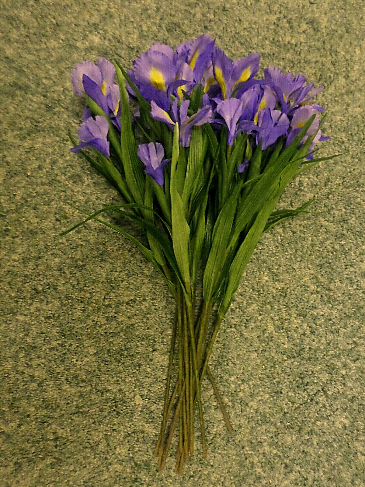 3487M Iris Stems 12 One Dozen Flowers Tall Silk 24