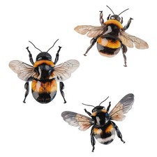Set of 3 Metal Bumble Bee insect bug Wall Art decor - Garden fence Shed