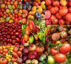Landscaper's Pack The Ultimate Tomato Mix over 25 varieties! Non-Gmo 250 Seeds!