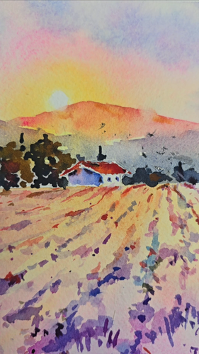 Original watercolor painting Provence Lavender Field Art Ftance Landscape 9"x12" - Video 1 of 1