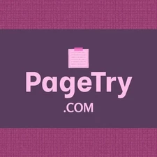 PageTry .com / Domain Auction / Business Brand, Website Name / Namecheap
