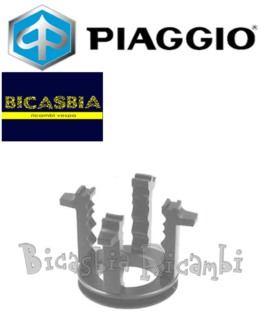 Imagen 1 de 1