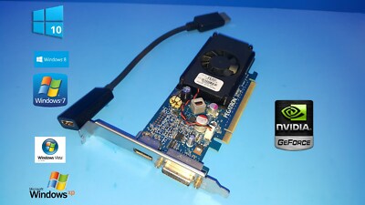 Windows 10 HP Pavilion P6230y P6232p P6234f DVI DP HDMI HD Video.
