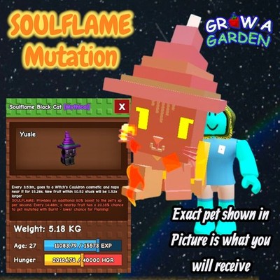 SOULFLAME Black Cat. Age/Weight Shown In Photo. Grow A Garden. Same Day