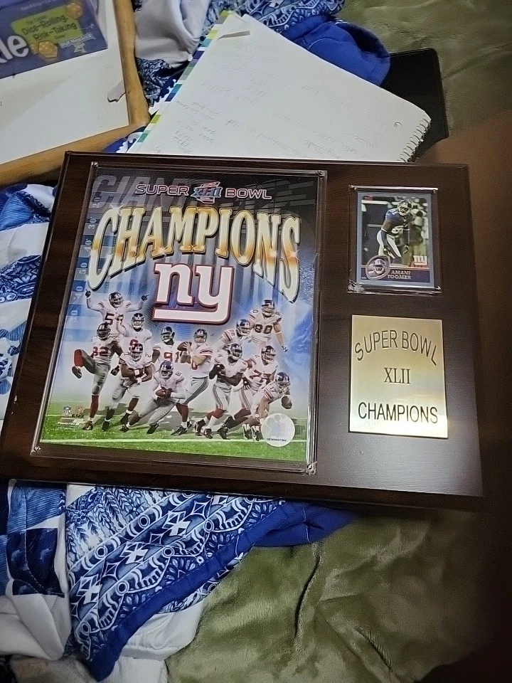 Placa de campeón del Super Bowl Amani Toomer 2008 Foto 2 de 4