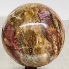 Natural Petrified Wood Polished Stone Quartz Crystal Sphere Ball Healing 4640G