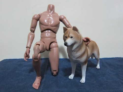 1/6 Scale Dogs Figure Bulldog Shepherd Lingbi Husky Rottweiler Doberman - Picture 40 of 114
