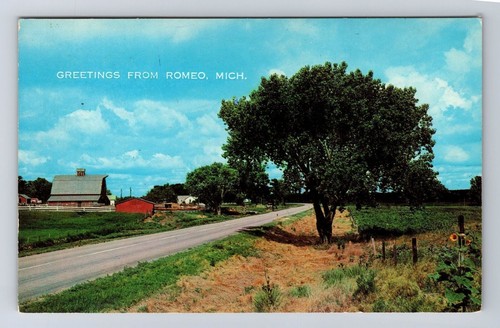 Romeo MI-Michigan, General Greetings, Colorful Cattle Ranch Vintage Postcard