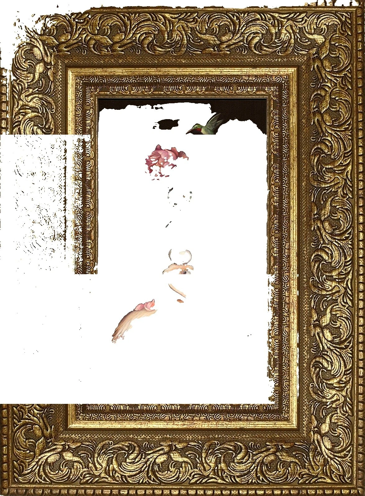 Surrealism Birds Limited Edition Art Prints