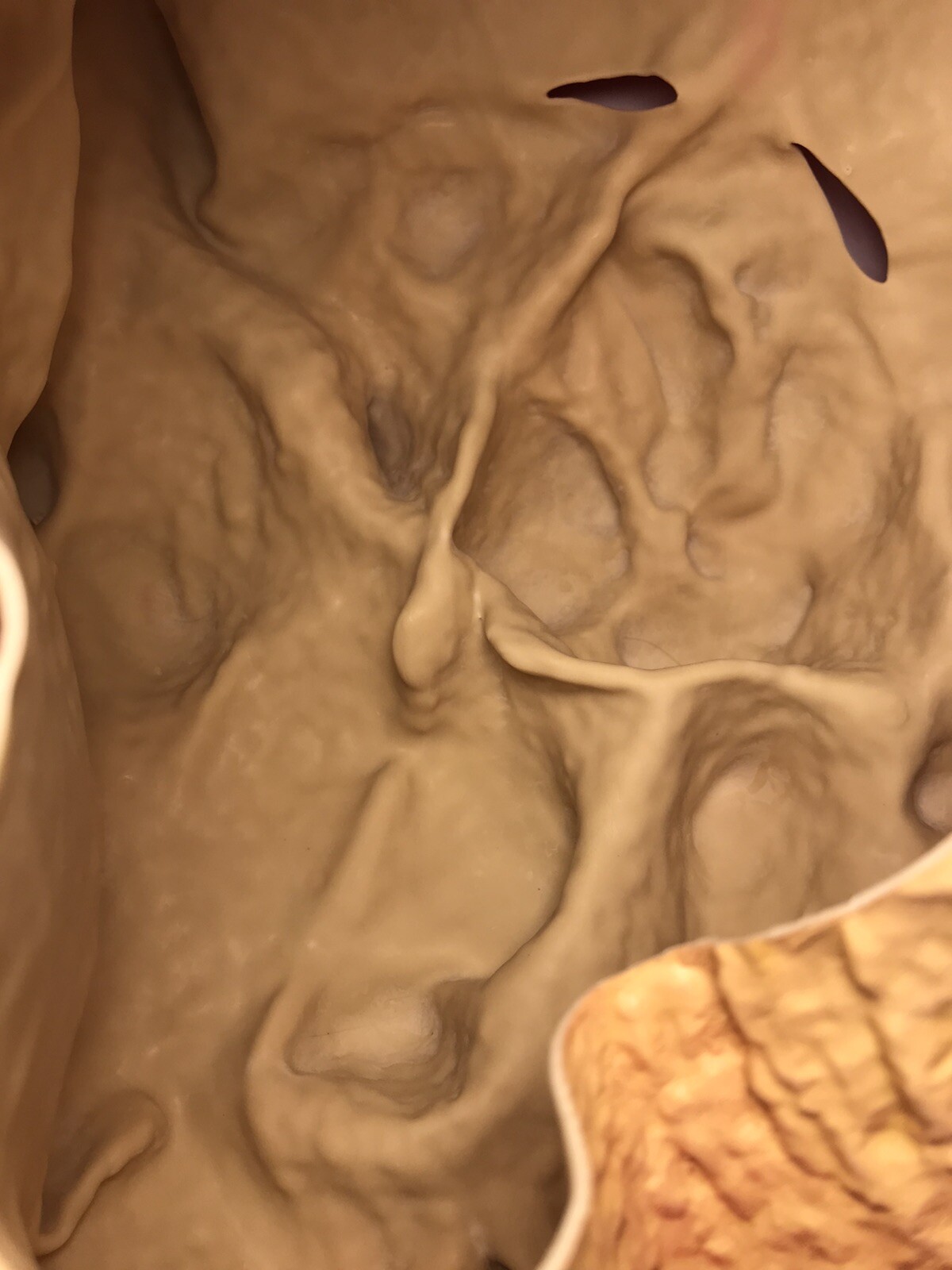 Avafierce Mask Adult Latex Mask Halloween Cosplay Mask Scary Face Horrible