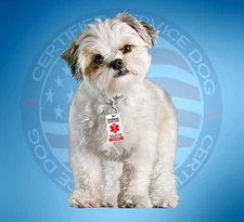 CARDIAC ALERT DOG ID TAG KEY CHAIN / COLLAR TAG FOR ADA ESA PTSD 