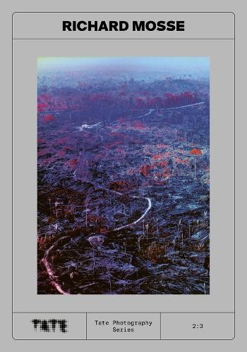 Tate Photography: Richard Mosse by Yasufumi Nakamori - - Image 4