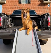 Solvit UltraLite Bifold Pet/Dog Ramp