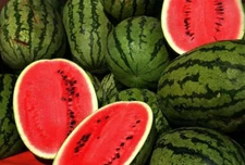 100+ KLECKLEY'S SWEET WATERMELON SEEDS - LARGE & SUPER SWEET - HEIRLOOM -- FRESH