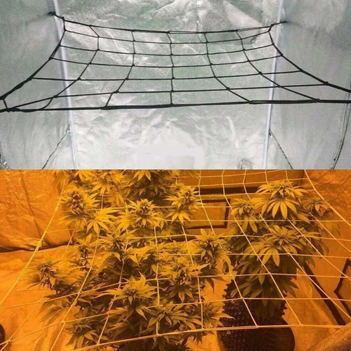 5 Size Elastic Scrog Trellis Net with 6 Hook Plant Support Netting for Grow Tent - Picture 8 of 19