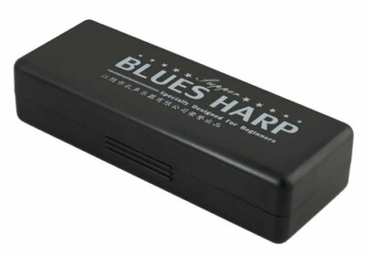 Armonica Armonica A Bocca In Do Maggiore A 10 Fori In Metallo - Foto 9