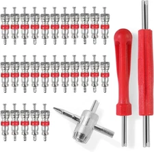 30Pcs Tire Valve Stem Tools, with 3Pcs Removal Tool & 27 Zn... 