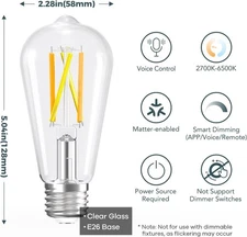Linkind Matter Smart Light Bulb, ST19 Smart Edison Bulbs, 2700K-6500K LED 12PCS
