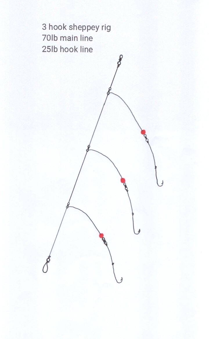 4x 3 circle Hook No 5/0 Sheppey Rig Sea fishing tackle BASS/COD/FLATTY ...