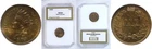 1905 1C Indian Head Cent Uncirculated PCI