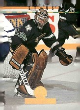 1994-95 Leaf #47 Andy Moog