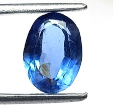 Premium 6 Ct Natural Blue Sapphire Oval Cut 12x9mm IGL Certified Loose Gem 5DNY
