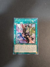 Yu-Gi-Oh MYFI, Begrüßung der Drachenmädchen, "near mint", 1. Auflage