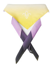 BOY SCOUTS PRIDE NON-BINARY SCARF / NECKER BRAND NEW!