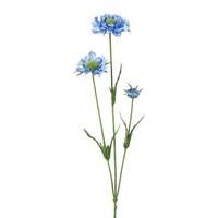 Artplants Kunst Zweig Scabiosa Atlento, Blau, 65Cm