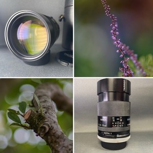 Tamron 135mm F2.5 Prime Close Focus BBAR MC Adaptall 2 Canon FD Sample Pictures