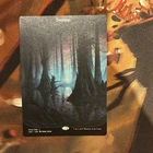 Land Magic: The Gathering Trading Card Games Individual Unstable