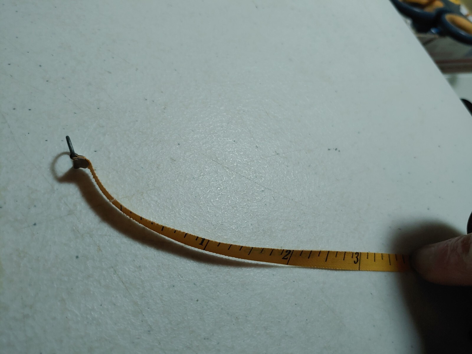 Picture 6 of 6