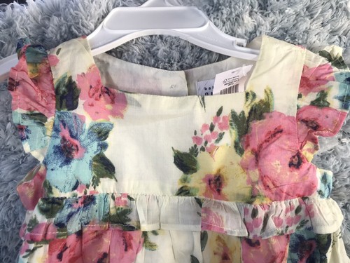 Baby Gap pink flower dress 6-12 months NWT - 第 4/11 張圖片