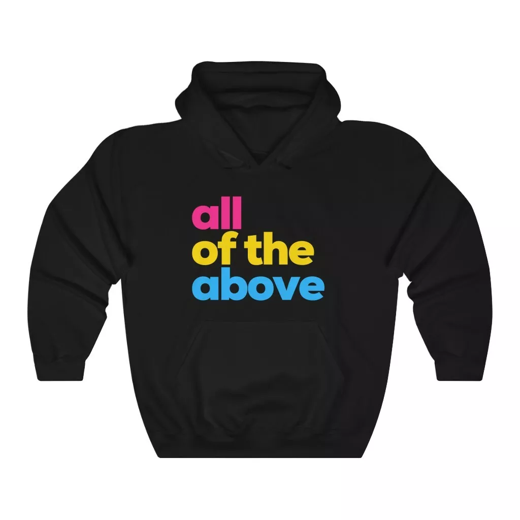 Pride month best sale hoodie
