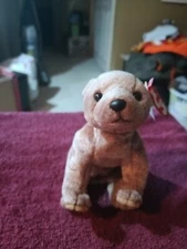 Rare TY “PECAN” the Bear 1999 FREE SHIPPING 