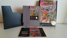 Nintendo NES *Wizards & Warriors* OVP mit Anleitung und Schutzh&uuml;lle PAL B  A1228