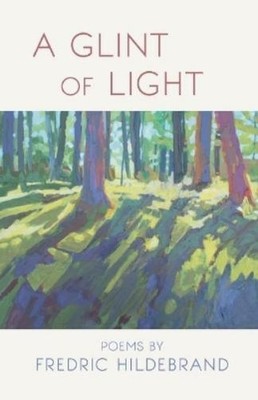 Fredric Hildebrand A Glint of Light (Paperback) (UK IMPORT)