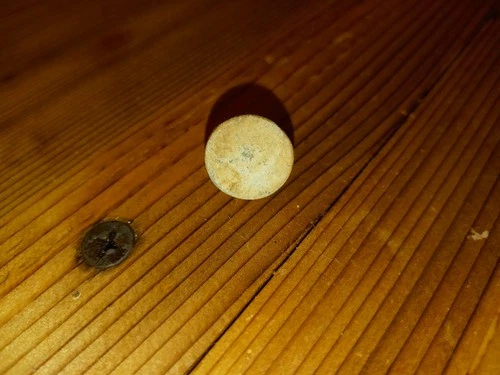 Civil War uniform flat button from Confederate camp Walnut Hill Petersburg VA