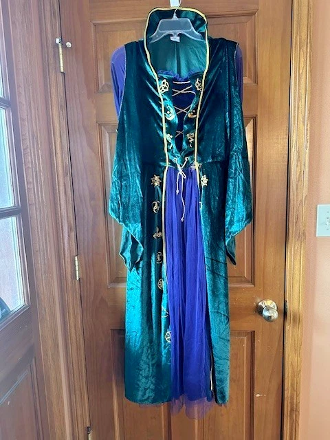 Hocus Pocus Winifred Sanderson Child Halloween Costume XL 14-16 Spirit Halloween - Image 4 of 4