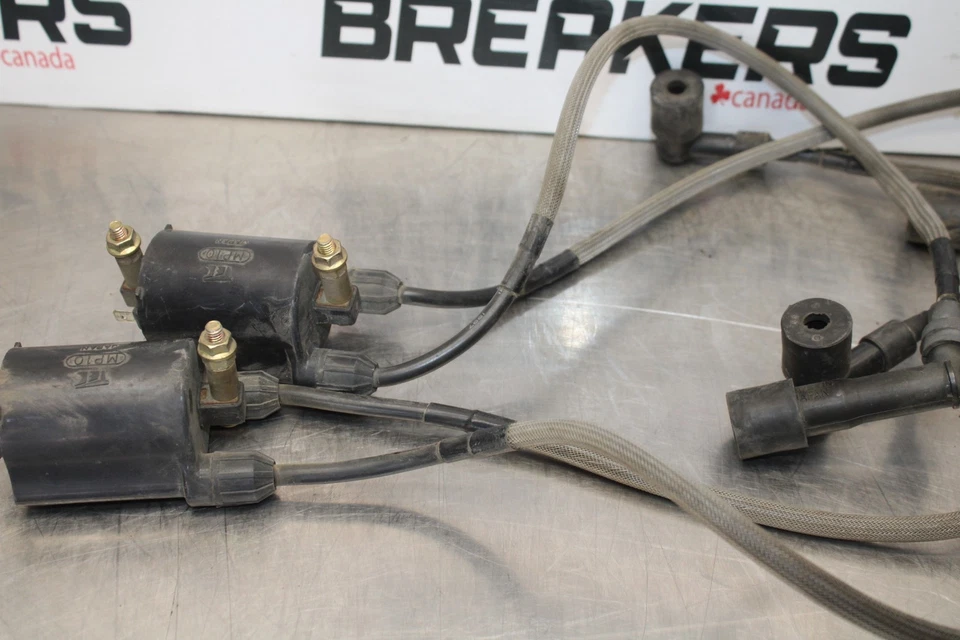 03-08 KAWASAKI VULCAN 1600 BOBINAS DE ENCENDIDO BB196 Foto 4 de 4