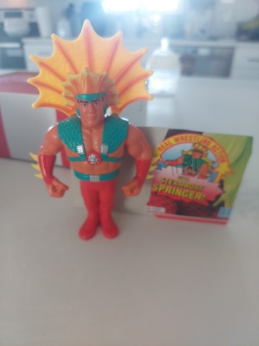 WWF The Dragon Ricky Ricky the Dragon Ricky the Dr...