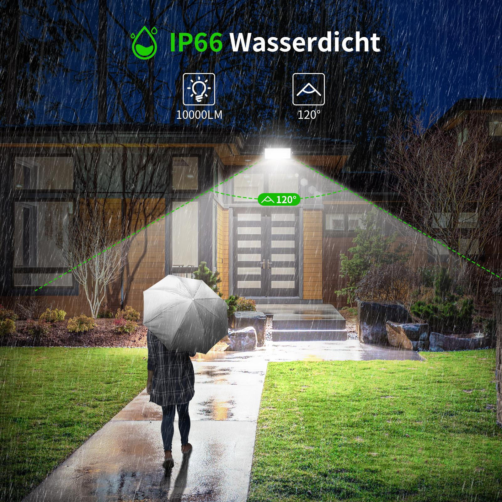 Bild 8 von 12