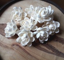Magnolia Flowers Sola Balsa Wood Craft Decor Fragrance Bouquet Wedding 5CM NEW