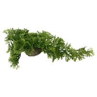 Aqua Della Aquarium Dekoration Moos 5Cm Kunstpflanze FüR Süß- & Meerwasser