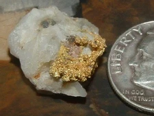 GOLD QUARTZ SPECIMEN 2 GRAMS CALIFORNIA POCKET GOLD