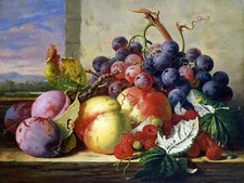 fruit grapes peach plum by E. Ladell Tile Mural Kitchen Backsplash Ceramic 10x8