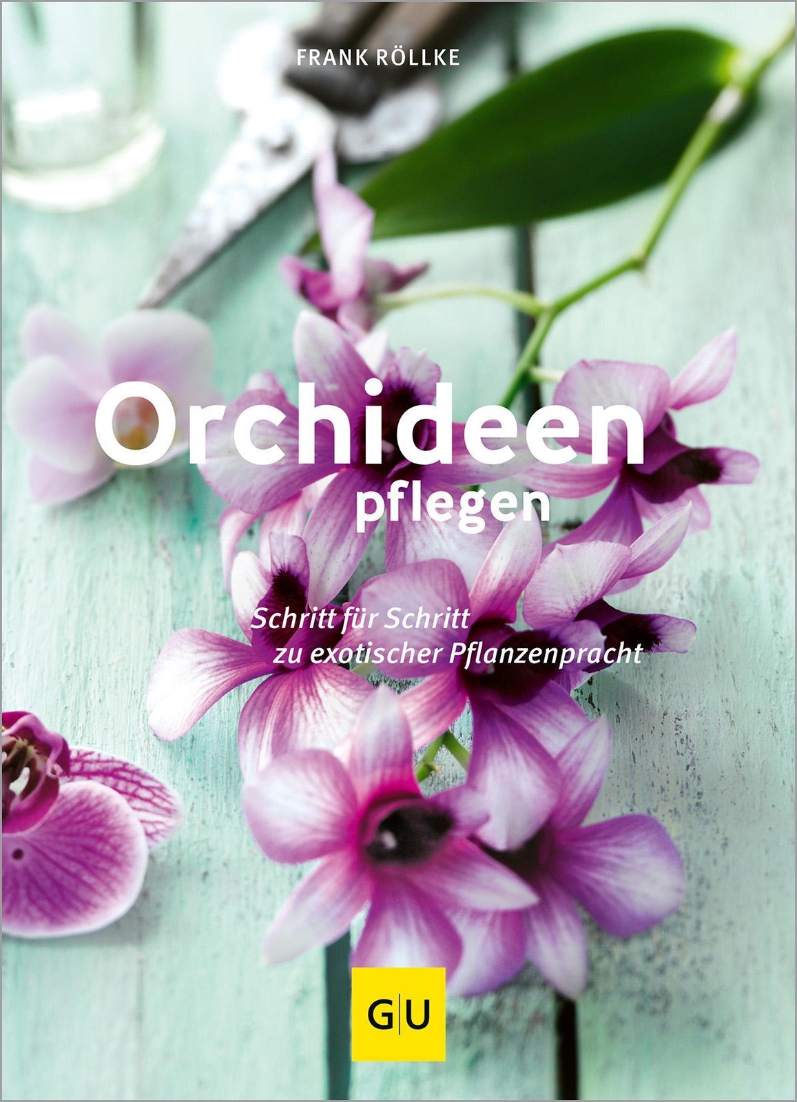 Orchideen Pflegen Frank Röllke
