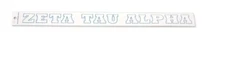 Zeta Tau Alpha 18" Long Window Sticker Car Auto SUV Inside Window FREE SHIP