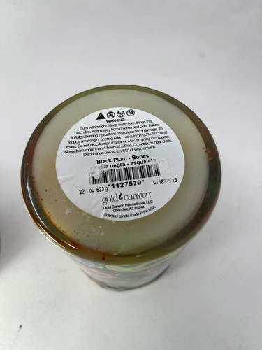 Gold Canyon Candle Lumie Tumbler Pillar Heritage Rare Mini Small Medium Large - Picture 17 of 95